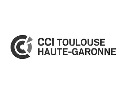 Logo CCI TOULOUSE